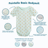 Pointelle Basic Bodysuit