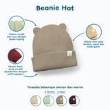 Beanie Hat Holiday Collection Vol. 1