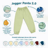 Jogger Pants 2.0