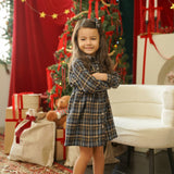 Flannel Long Sleeve Dress