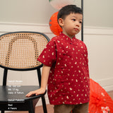 Ruyi Kids Boy Cheongsam Shirt