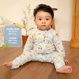 Playtime Baby Sleepsuit