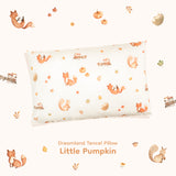 Tencel Dreamland Pillow